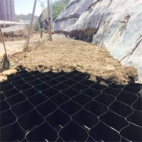 边坡绿化专用护坡用蜂巢格室|河道边坡防护蜂巢土工格栅