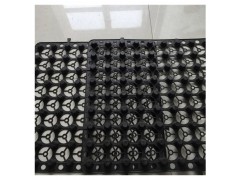拓林H50高塑料滤水板生产 黑色500*500*30蓄排水板图3