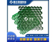 东莞市hdpe园林护坡草坪格图2