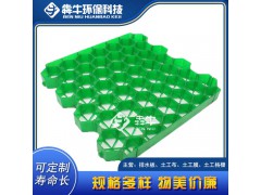 东莞市hdpe园林护坡草坪格图3