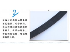 钢塑格栅图2
