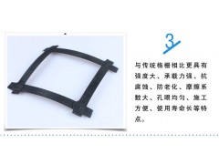 钢塑格栅图3