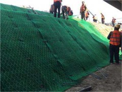 聚丙烯加筋麦克垫厂家  路基加筋麦克垫300克图2