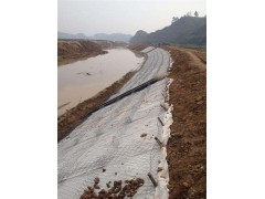 河道护坡雷诺护垫施工效果 双隔板雷诺护垫图1