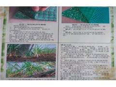 护坡绿化椰丝生态毯生产厂家图3