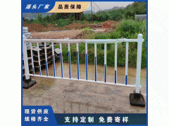 陆丰市政护栏隔离 乡村振兴马路交通围栏栅栏图2