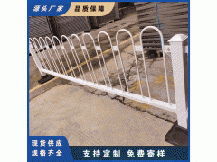 海丰县市政护城市交通防护栏 城乡融合发展铁艺护栏图3